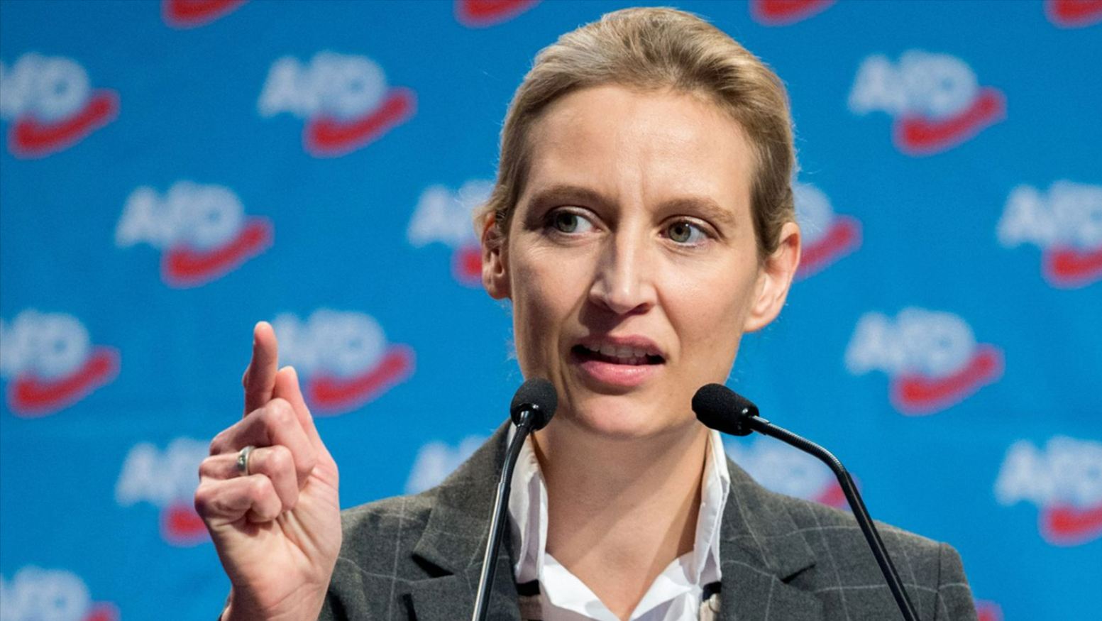 AfD schon stärkste Partei in Deutschland? Experte kommt nach Umfrage zu schockierendem Ergebnis!