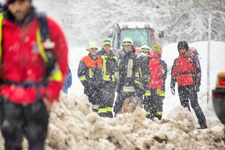 3 Wanderer von Baum erschlagen! Schneelast bringt Baum zum Einsturz - 3 Menschen zum Teil schwer verletzt